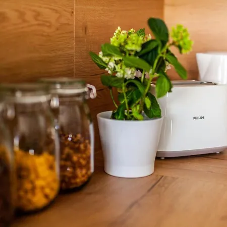 Hangar 19 Großzügiges Mit Terrasse Und Garten H4w2 Apartment *